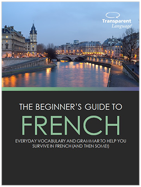 ebook-french